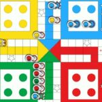 A Comprehensive Game Guide for Call Break and Power Ludo